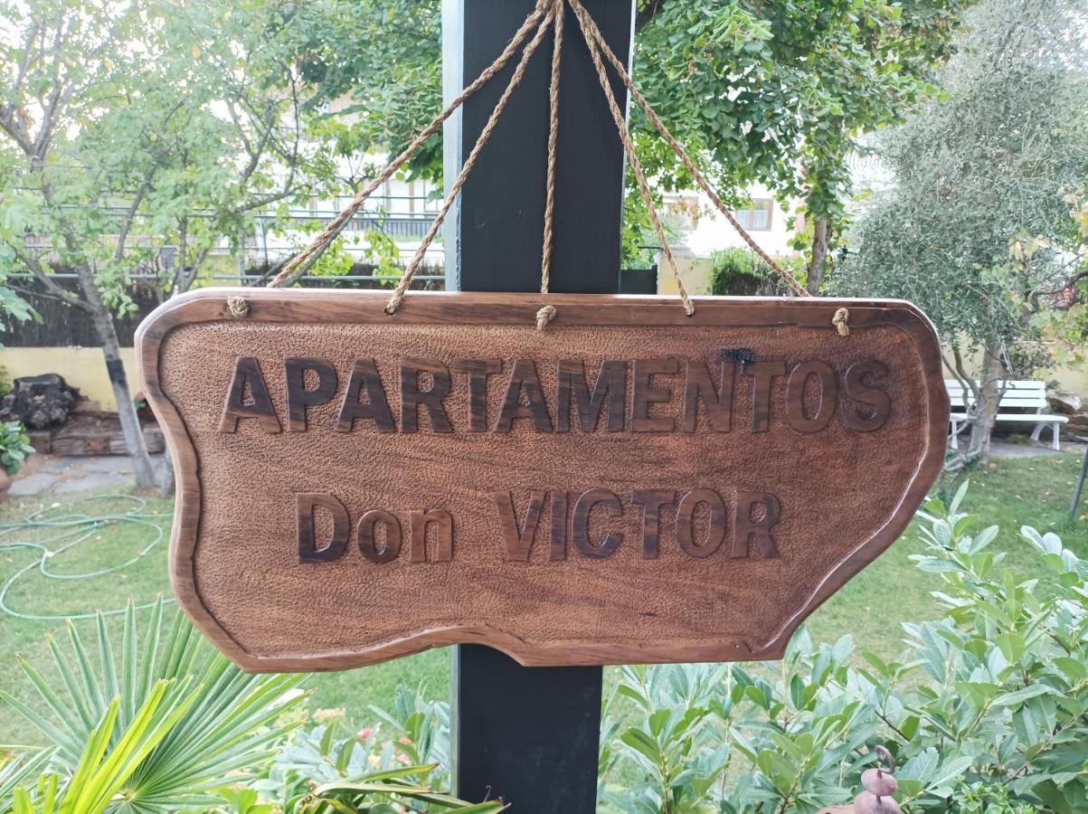 Apartment Don Victor *